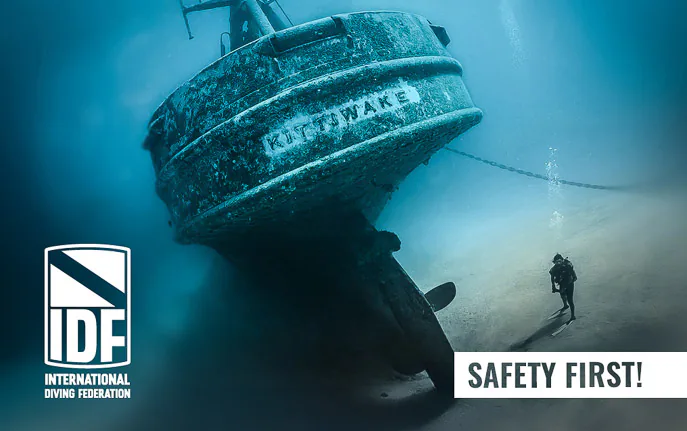 Wreck Diver