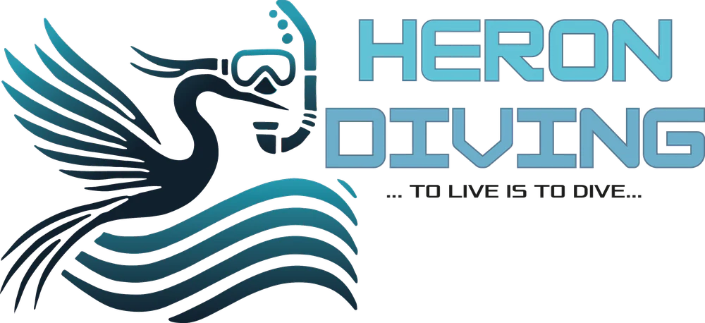 Heron Diving — To Live is To Dive